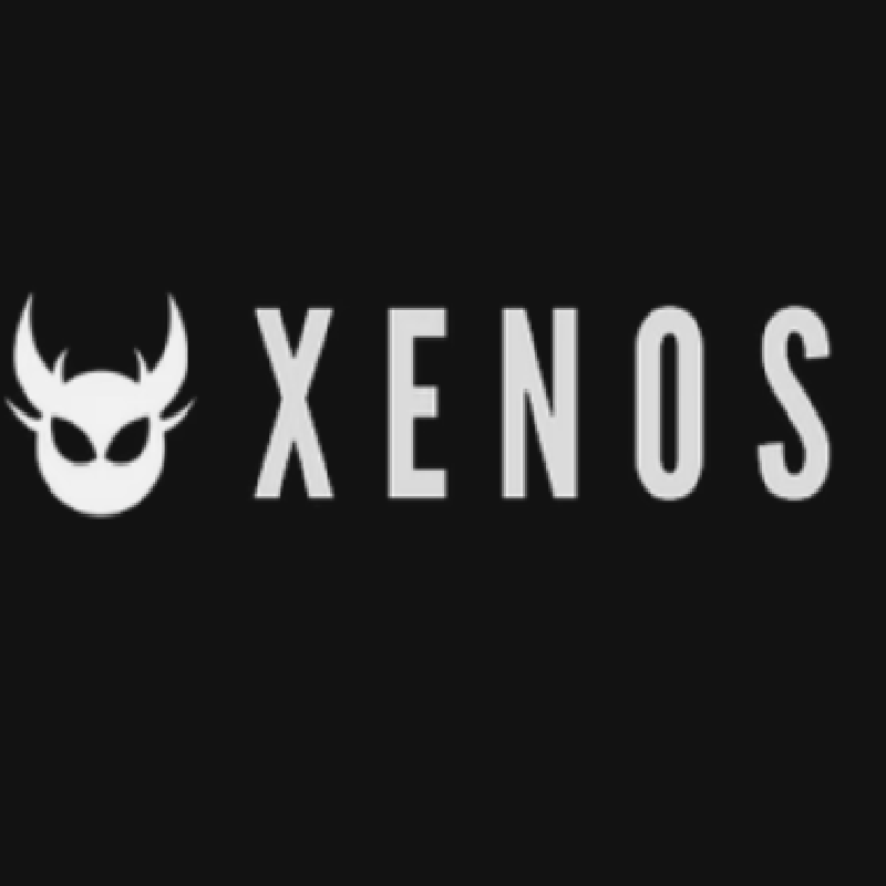 Xenos Jewelry  Codes